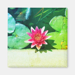 Stilisierte Pflanze von Red Green Water Lily Blume Magnet