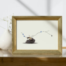 Still Life Seashell and Ivory Collage