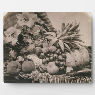 Still Life with Fruit, 1860 (sepia Foto) Fotoplatte