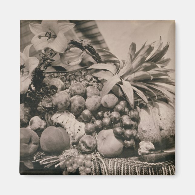 Still Life with Fruit, 1860 (sepia Foto) Magnet (Vorne)