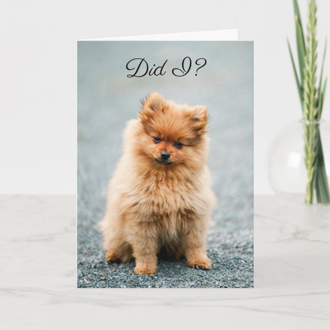 Still love me? BELATED BIRTHDAY CARD FOR ANYONE Dankeskarte (Vorderseite)