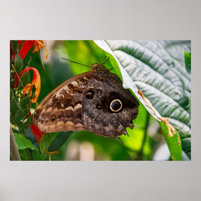 Still sitzen poster (Vorne)