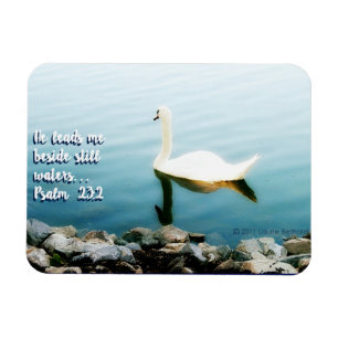 Still Waters Scripture Inspiration Foto Magnet