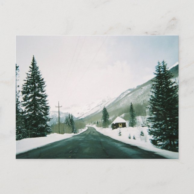 Still Winter Postcard Postkarte (Vorderseite)