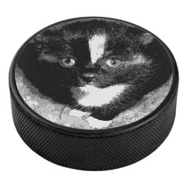 Stille Beobachter Eishockey Puck