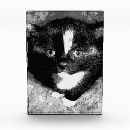 Stille Beobachter Fotoblock