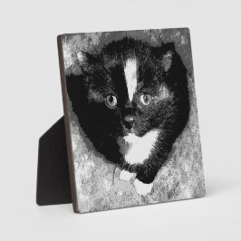 Stille Beobachter Fotoplatte