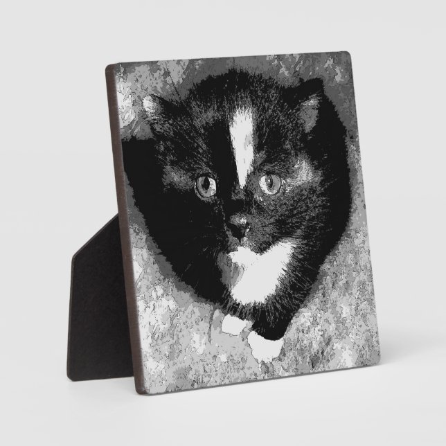 Stille Beobachter Fotoplatte (Vorderseite)