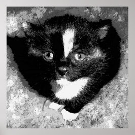 Stille Beobachter Poster