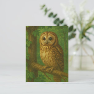 Stille Beobachtung des Waldes Postkarte