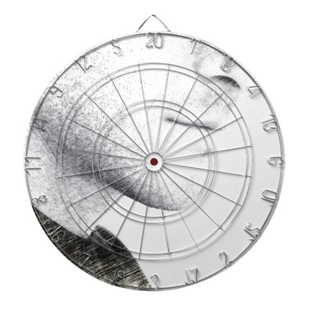 Stille Dartscheibe (vorne)
