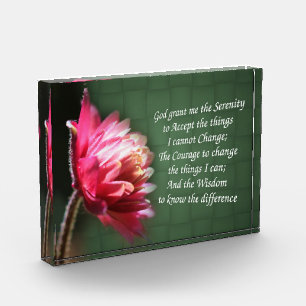 Stille Gebet Inspiration Blume Fotoblock