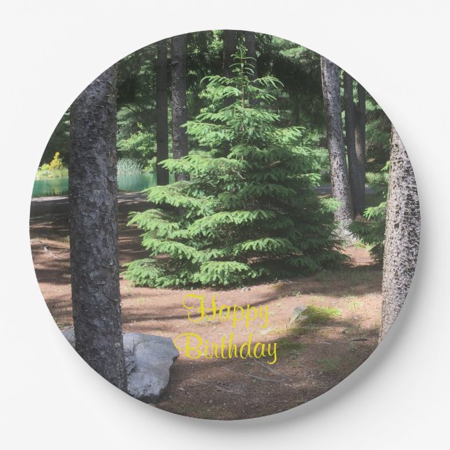 Stille im Wald Pappteller (Vorderseite)