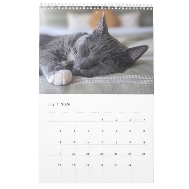 Stille Katze Kalender (Jul 2026)