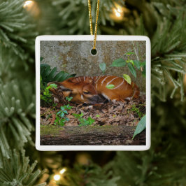 Stille Nacht Berg Bongo Antelope Calf Keramikornament