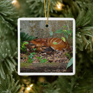 Stille Nacht Berg Bongo Antelope Calf Keramikornament