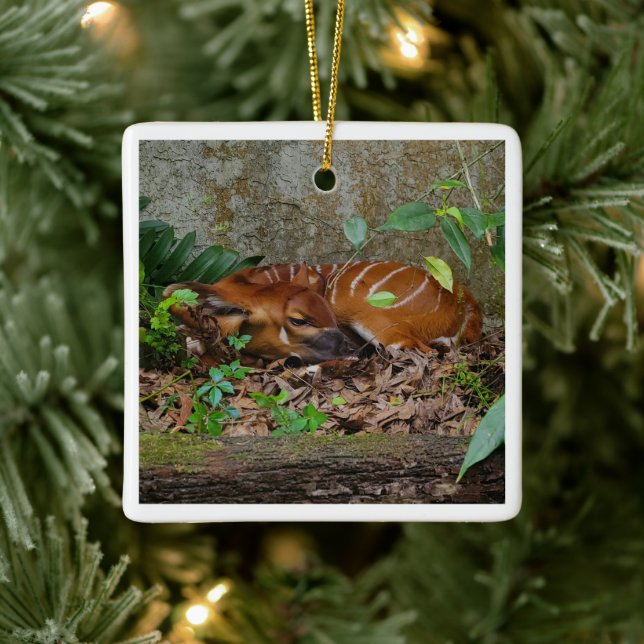 Stille Nacht Berg Bongo Antelope Calf Keramikornament (Baum)