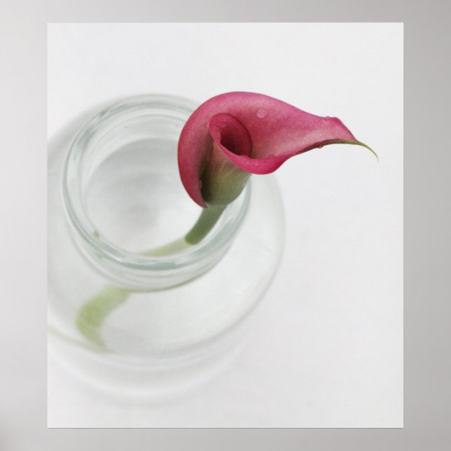 Stille Poster (Vorne)