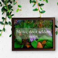 Stille schadet selten Weisheit Sprichwort Poster