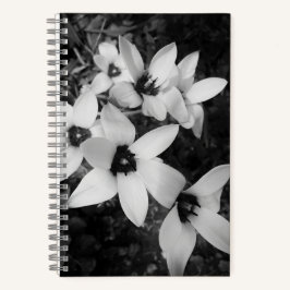 Stille Symmetrie Notizbuch