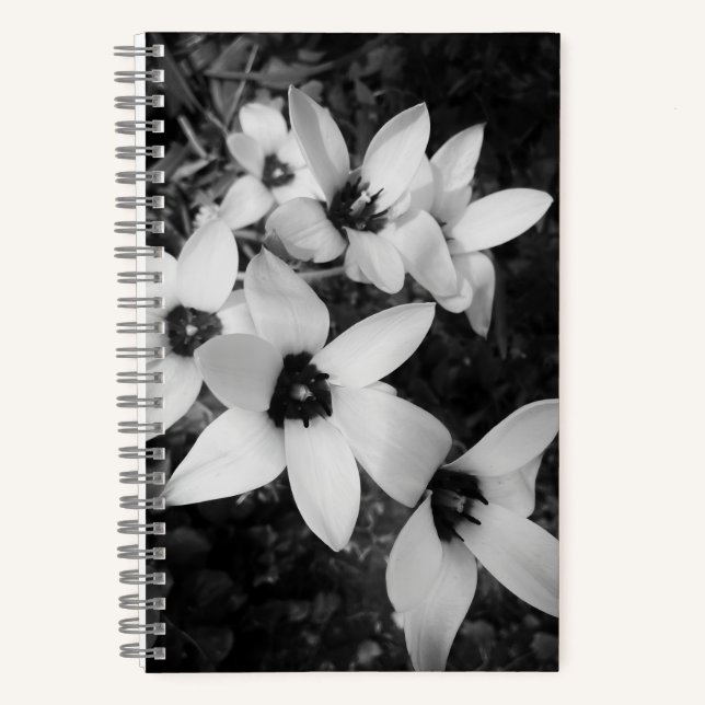 Stille Symmetrie Notizbuch (Vorderseite)