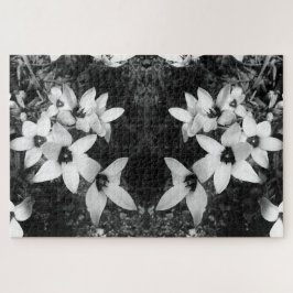 Stille Symmetrie Puzzle