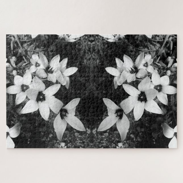 Stille Symmetrie Puzzle (Horizontal)