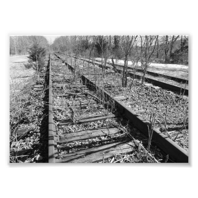 Stille Tracks 7x5 Schwarz und Weiß Fotografie Pri (Vorne)