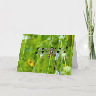 Stille Wunder, leere Grußkarte Dragonfly Karte
