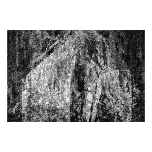 Stilleben Zuhause Fotodruck