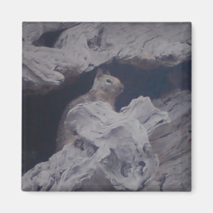 Stiller Beobachter-Magnet Magnet