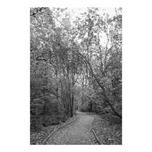 Stiller Herbstwaldweg – B&W Nordic Edition Fotodruck