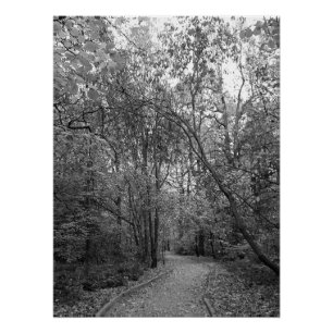 Stiller Herbstwaldweg – B&W Nordic Edition Poster