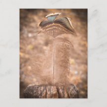 Stiller Sommer-Moment | Sacramento Natur
