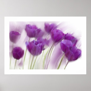 Stilles Leben in der Leinwand Poster