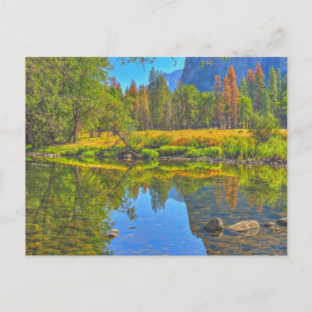 Stilles Wasser Postkarte (Vorderseite)