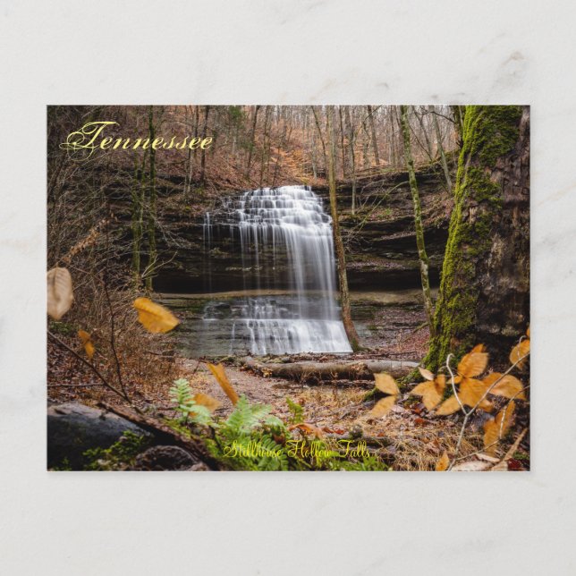 Stillhouse Falls Postcard Postkarte (Vorderseite)