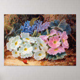 Stillleben der Blume Oliver Clare 1853 - 1927 Poster