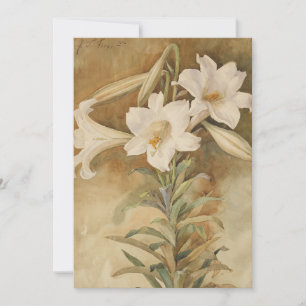 Stillleben der Osterlilien   John La Farge