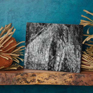 Stillleben-Heimtafel Fotoplatte