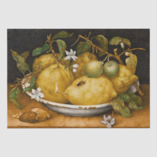 Stillleben mit Bowl of Citronen und Fly Garzoni Seidenpapier