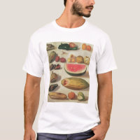Stillleben mit Frucht und Kröte