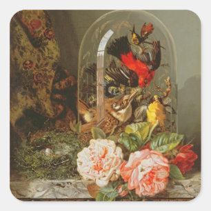 Stillleben mit Humming Bird in einem Glasdom Quadratischer Aufkleber
