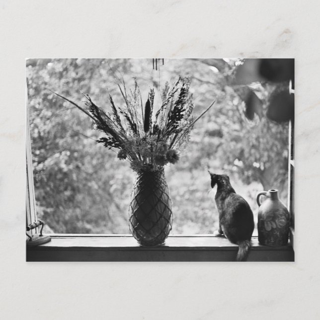 Stillleben mit Katze Postkarte (Vorderseite)