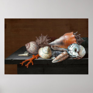 Stillleben mit Muscheln   Johann Jakob Dietzsch Poster