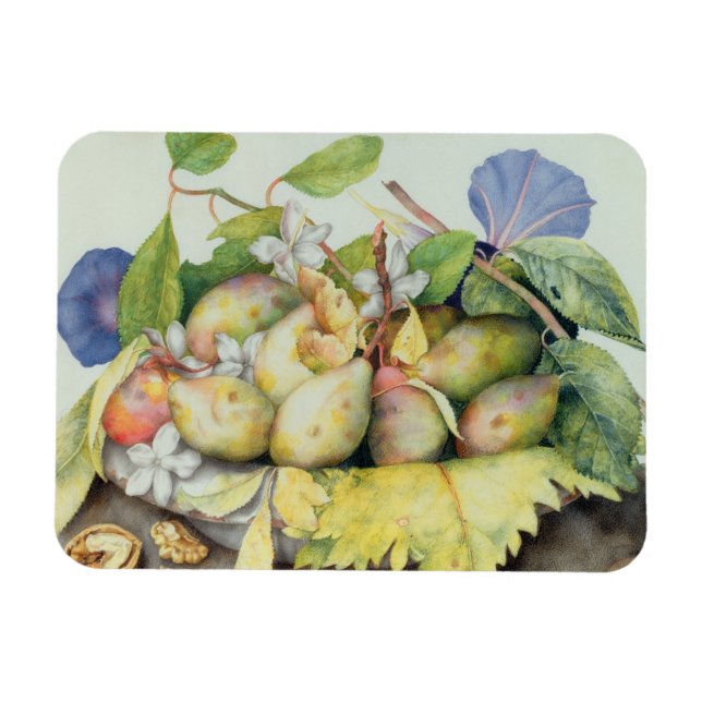 Stillleben mit Pflaumen, Walnüssen und Jasmine (w/ Magnet (Horizontal)