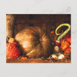 Stillleben mit Pumpkins Postkarte