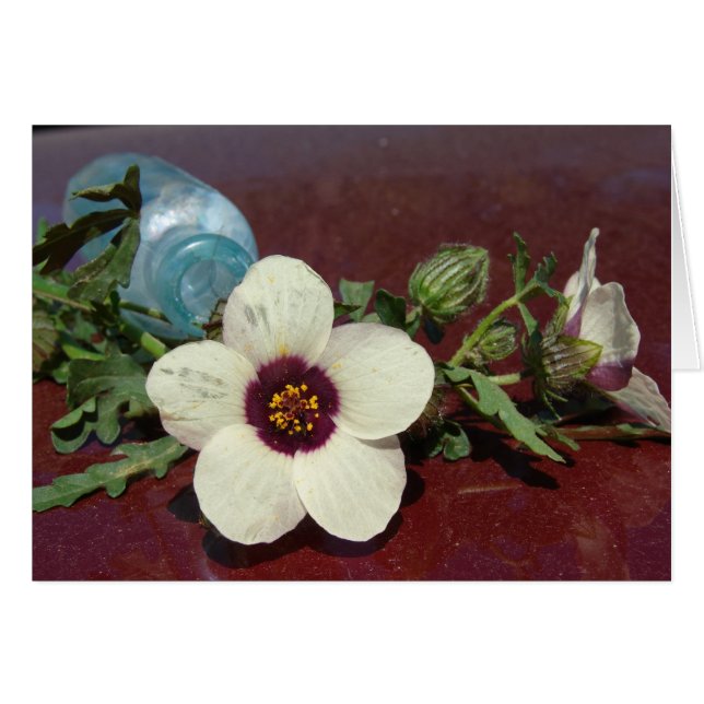 Stillleben mit Wildblumen (Vorderseite (Horizontal))