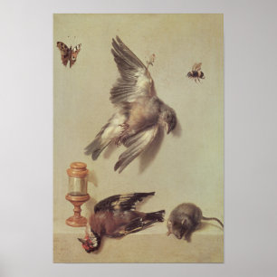 Stillleben toter Vögel und einer Maus, 1712 Poster