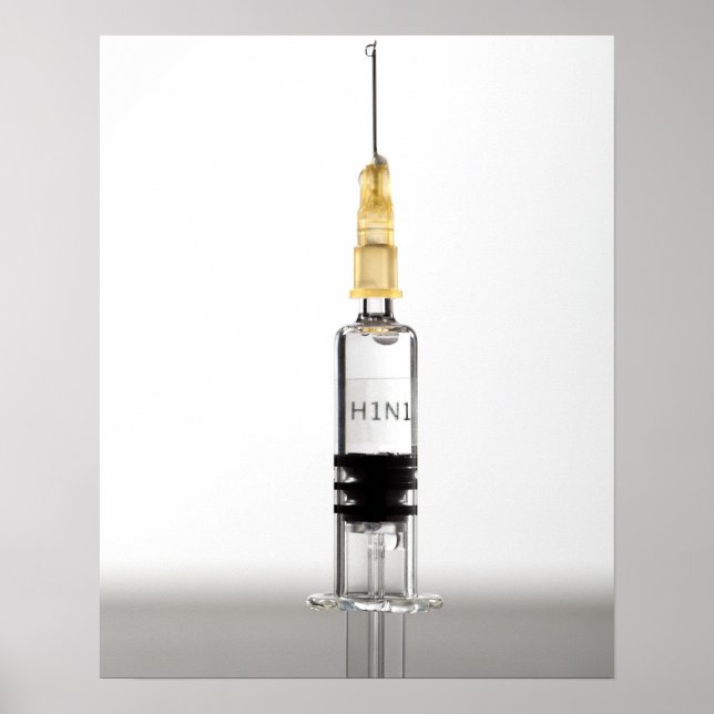 Stillleben, weißer Hintergrund Poster (Vorne)